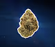 WEEDBUD