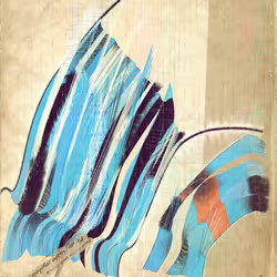 Amplitudes of Canvas #417