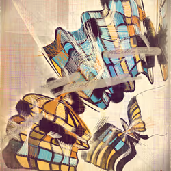 Amplitudes of Canvas #217
