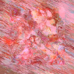 DDUST #431
