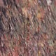 95