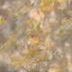 93