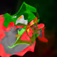 38