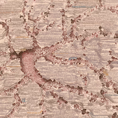 Neural Prometheus By Paolo Curtoni X Responsive Dreams