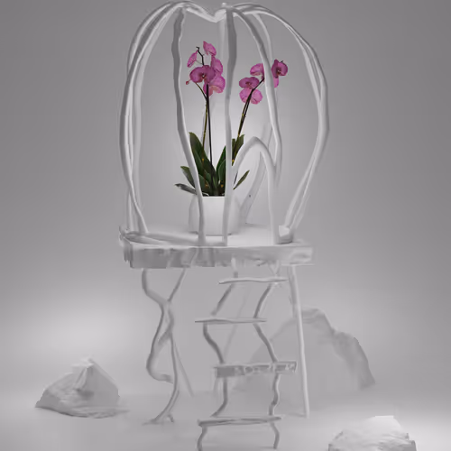 What Defines a Still Life