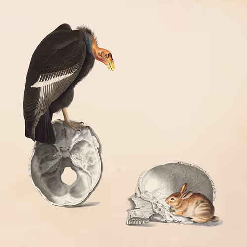 Of Life And Death 1