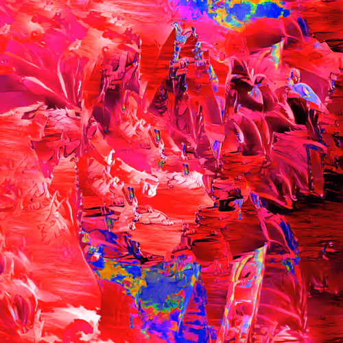 no pfp