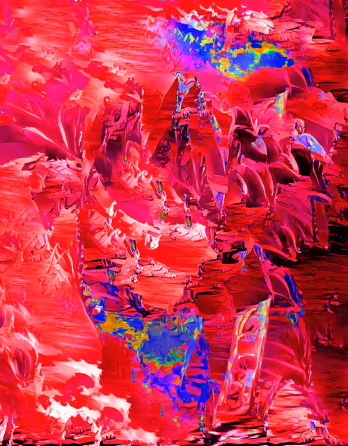 Item #4 Media