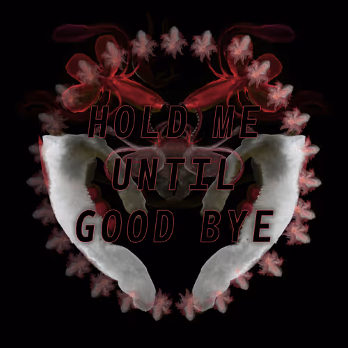 Good Bye by Lauren Lee McCarthy