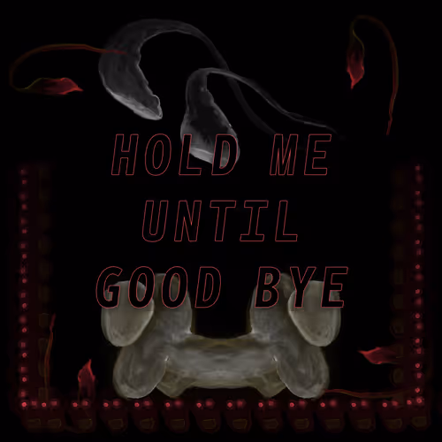 Item #14 Media