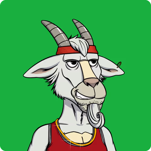 Goat #6677