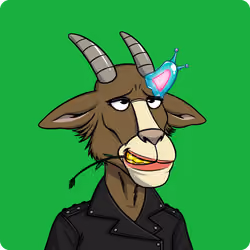 Goat #3426