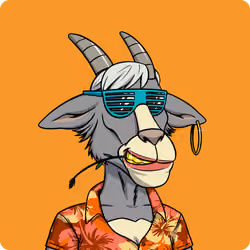 Goat #1703