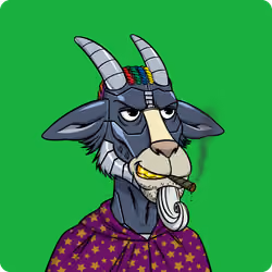 Goat #2895