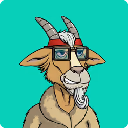 Goat #2216