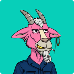 Goat #8977