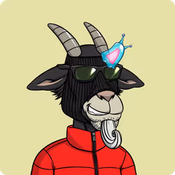 Goat #5972