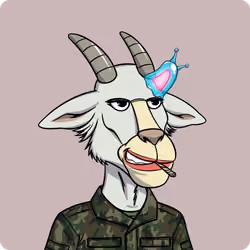 Goat #3340