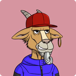 Goat #588