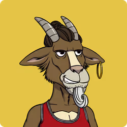 Goat #6564