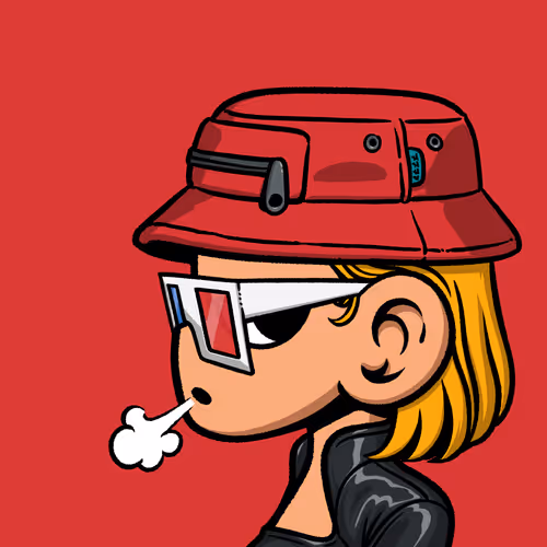 AGENT 2528