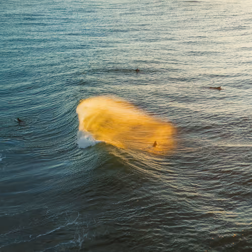 Ocean Reverie Editions