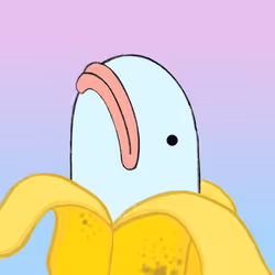 2055