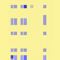 853