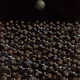 97