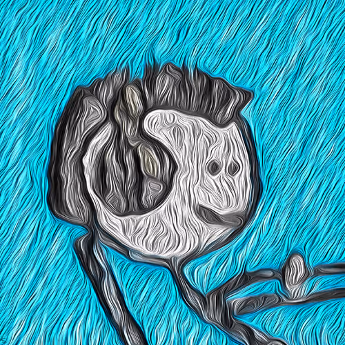 Item #37 Media