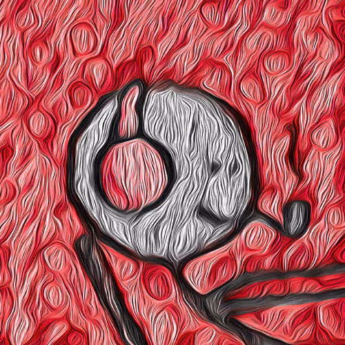 24