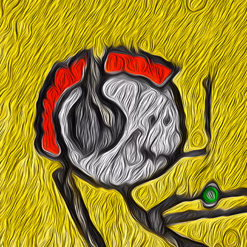 51