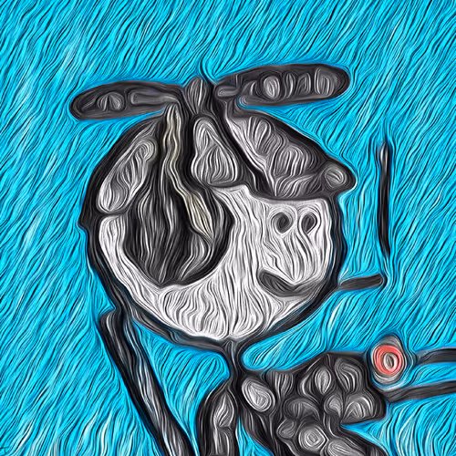 64