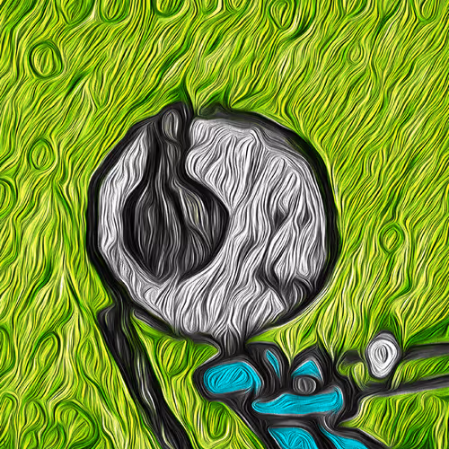 19