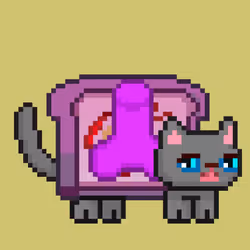 cat#575