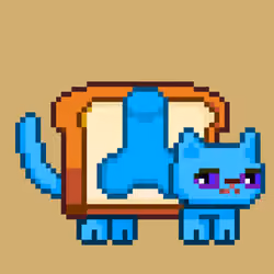 cat#520