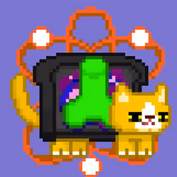 cat#552