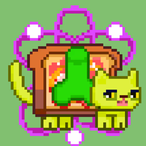 cat#511