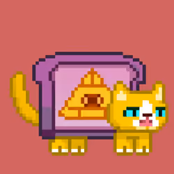 cat#941