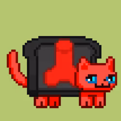 cat#524