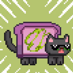 cat#342