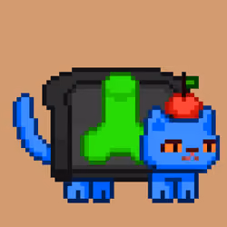 cat#551