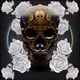 Skulls - kG3SkbxVDb