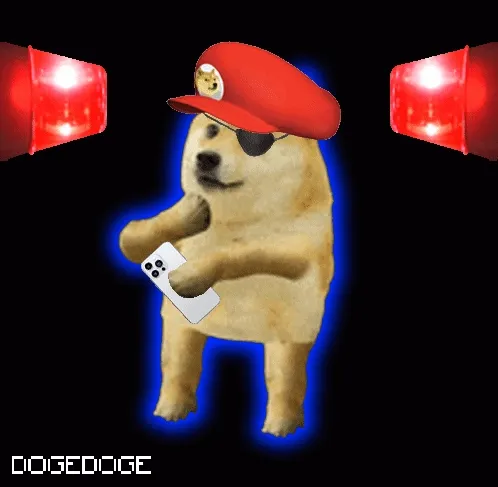 DOGEDOGE #348