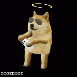 DOGEDOGE #78