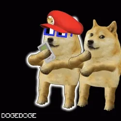 DOGEDOGE #1619