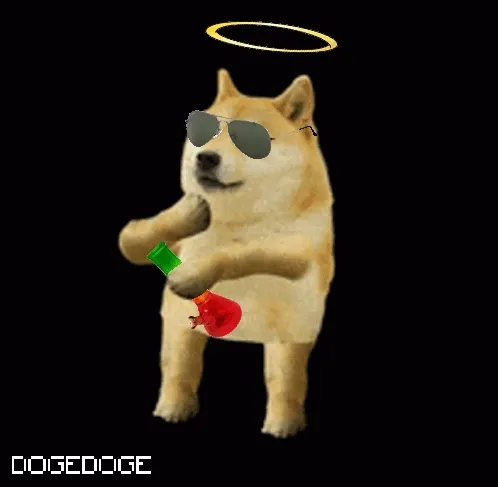 DOGEDOGE #776