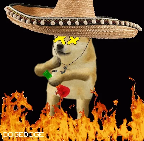 Dogedogenft