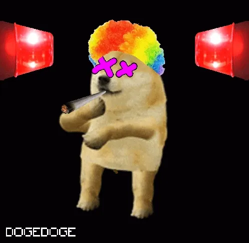 DOGEDOGE #814