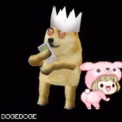 DOGEDOGE #465